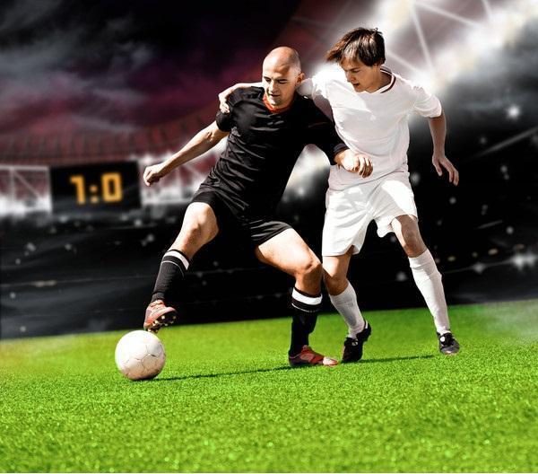 上海玄鸟VS香港金牛分析预测山东蜜獾今晚再战强敌 对阵上海玄鸟从防守做起